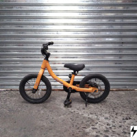 Bicicleta 35